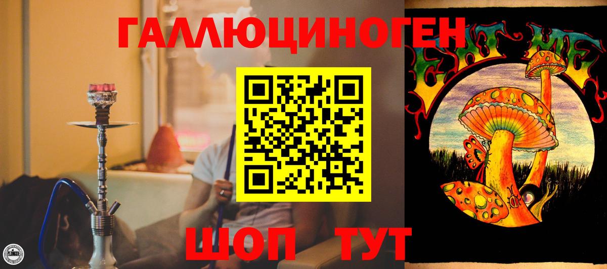 Псилоцибиновые грибы мицелий Шадринск